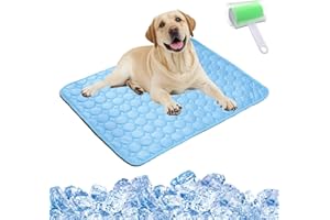 Qosigote Kittinis - Coolcat V.4 - Premium Kühlmatte Mit Eisseide, Kühlmatte Hund, Der Ultimative Kühlkomfort Für Deine Katze Und Hund (Blau,Xs/40 * 30cm)