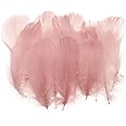 PATIKIL Colorful Feathers 3-5inch, 300pcs Goose Feathers Bulk for Crafts DIY, Wedding Home Party Decorations Dream Catcher, Light Pink