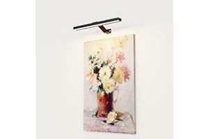 CGC Lighting USB Rechargeable Battery Magnetic Wireless Wall Light Over Mirror, Picture (Black Libra)