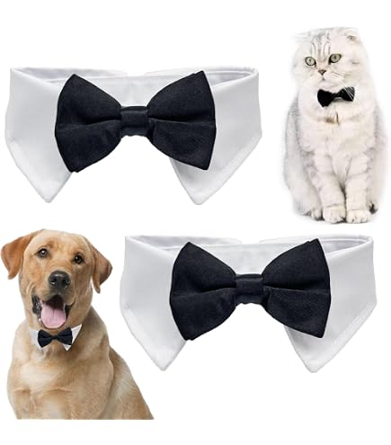 ADOGGYGO Halloween-Halsband Mit Fliege & Glöckchen – Verstellbar Für Kleine Bis Große Hunde (S, M, L)