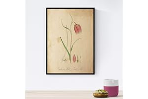 Nacnic Vintage Flower Plakat. Folia Troutish Lilly z motywem Vintage. Projektowanie botaniki do wnętrz. Rozmiar A4