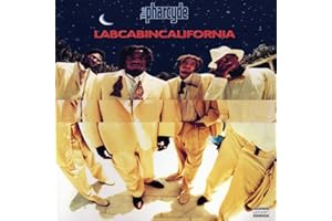 Labcabincalifornia