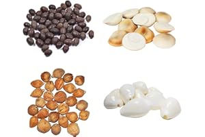 4OUR FAITH Mahalakshmi Puja PACK of 4 COMBO Laghu Nariyal, white Sea shell (Kawri/Kodi), Kamal Gatta and Gomti Chakra (11Pcs Each) Puja Worship Diwali Pooja Samagri