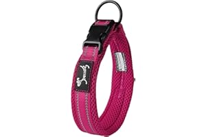 PETTOM Hundehalsband Verstellbare Nylon Hunde Halsband Atmungsaktives Reflektierend Halsband (Rosa XS)