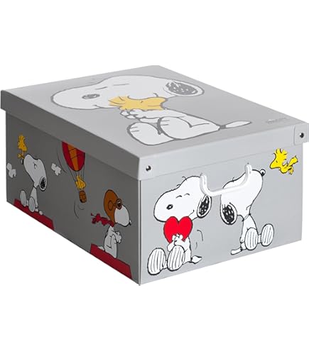 Scatole In Cartone Con Coperchio Lavatelli - Organizer Armadio, Cambio Stagione - Made In Italy - Foto 9