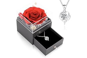 CSYY Ewige Rose, Geschenke für Frauen Infinity Rosen mit 925 Sterling Silber Kette Schmuck Handgefertigte Konservierte Rosen Schmuck Geschenkbox für Frauen Mama Schwester Ehefrau am Weihnachten
