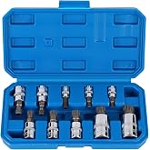 CPROSP 10 x Socket Wrenches, Toothed Nuts M4 M5 M6 M8 M10 M12 M14 M16 M18 | With Multi-Tooth Bits 1/2''; 1/4''; 3/8''; XZN wi