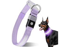 CAWJUG Dog Light up Collar, Rechargeable LED Dog Collar with 3 Glowing Modes, Adjustable Flashing Dog Collar for Small Medium Large Dogs(Purple, M)