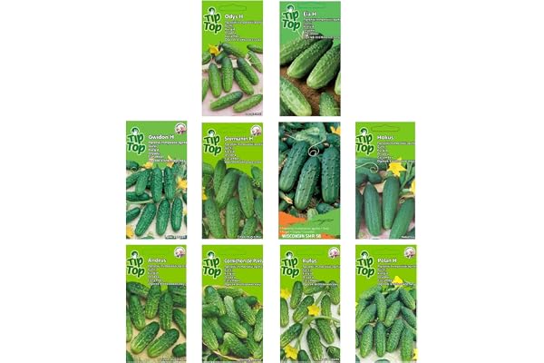 Nojus - Gurkfröset - 10 Sorter - Startpaket med Olika Gurkfrön - 10 Påsar - Trädgårdsfrön - Grönsaksfrölåda - Frön