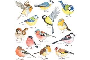 DECOWALL DS-8038 Petits oiseaux(Petit) Autocollants Muraux Mural Stickers Chambre Enfants Garderie Salon wall adhsif maison dcalcomanies