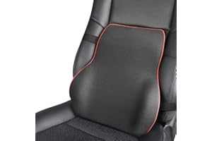 EASY EAGLE Coussin Lombaire pour Voiture, Oreillers Lombaire Mousse à Mémoire, Coussin Lombaire Oreiller De Soutien pour Automobiles Maison, Bureau