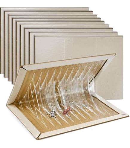PestNiext Lijmplank XL 100 stuks | #1 in Muizenbestrijding