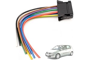 Twowinds - Connecteur Résistance Compatible avec Renault Clio 3 (2005-2012), Mégane 2 (2001-), Scénic 2 (2003-2010) Twingo 2 (2007-2014) - 8200729298 - Fiche de Connexion - Chauffage et Ventilation