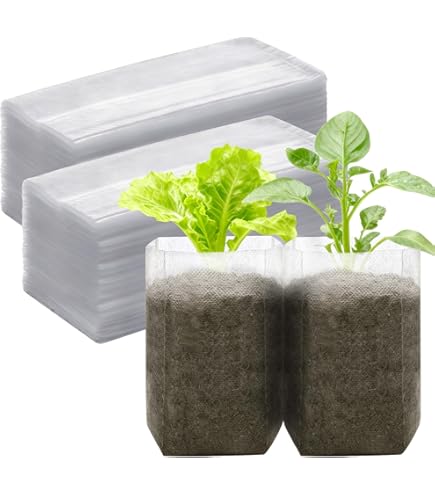 Zaaigoed In Potten Met Grond Voor De Teelt Van Planten. Zaailingen Van Bloemen En Groenten Op Het Raam Lente Dachseizoen Dacha Landbouw Image213985927