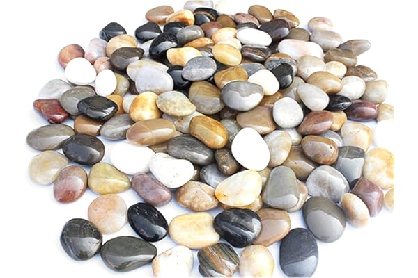 Galets Naturel Décoratif Poli Pierres de décoration Cailloux naturels Gravier pour Jardin Pierres 2-4 cm 0.9Kg Galets décoration de Jardins / Aquariums / Plantes