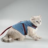 Patipatron Ka&ccedil;ış &Ouml;nleyici Kot Kedi Gezdirme Tasması Ve K&uuml;&ccedil;&uuml;k Irk K&ouml;pek Gezdirme Tasması Airtag Cepli (S)