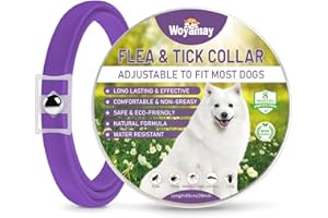 Woyamay Collare Antiparassitario per Cani, Naturale 8 Mesi di Protezione Collare Antipulci Cane, Regolabile Resistente All'acqua 65cm Collari Antiparassitari per Cani Per Tutte Le Taglie, Viola