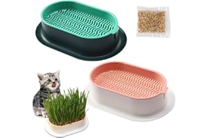 ZDNT 2 Pièces Kit de Culture d'herbe à Chat,Jardinière d'herbe à Chat,Planteur d'herbe à Chat,Herbe à Chat boîte en Plastique,Jardinière Herbe à Chat,Pot De Plante,pour l'herbe à Chat