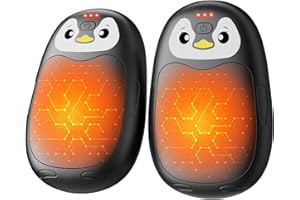 ‎FANDLISS FANDLISS Handwärmer Elektrisch 2er, Taschenwärme mit 8000mAh, USB Taschenwärmer Wiederverwendbar mit 3 Wärmestufen, Winter Geschenke für Frauen Männer Outdoor Camping Sportarten