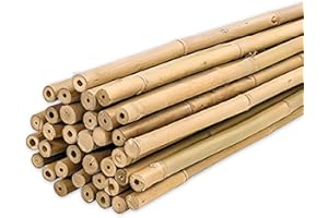 PLANTAWA Tutores de Bambú 90 cm Paquete 25 Unidades Ø 10-12 mm | Soporte para Plantas, Hortalizas, Tomates y Tomateras | Tutores para Plantas de Instalación Fácil. Cañas de bambú Resistentes