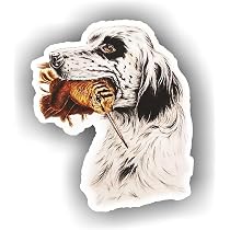 AMA SHOP Adesivo Sagomato Cinghiale selvatico |Passione