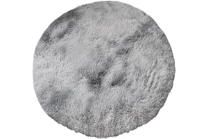 HARESLE Round Rug,Fluffy Circle Area Rugs Soft Washable Rug for Kids,Bedroom Circle Rugs (Light Grey,Diam 60cm / 23.6 inch / 1.96ft)