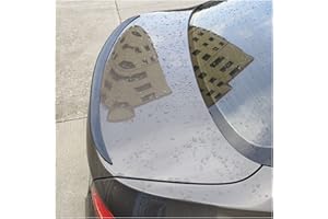 Shanlulu BMW 5 Series G30 F10 2012-2021 Glossy Black Rear Wing Lip Car Spoiler