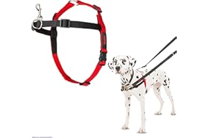 COMPANY OF ANIMALS HALTI Front Control Anti-Zug Geschirr, Größe Mittel - Verhindert, dass Ihr Hund an der Leine zieht, Kontrollieren Sie Ihren Hund sanft über den Brustbereich, Einfache Anpassung und Benutzung