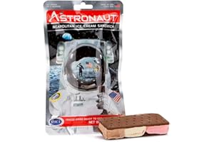 EDU-SCI Astronaut Foods Neapolitan Ice Cream Sandwich 28g