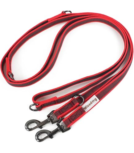 Petlando Mesh Führleine 3 M L Petrol - Leichte Umhängeleine Für Hunde, 30 Mm Breite
