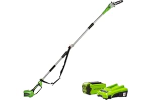 Greenworks Tools Akku-Hochentaster (Li-Ion 40V 20cm Schwertlänge 8 m/s Kettengeschwindigkeit Teleskop-Alustange 3-teilig inklusive 2 Ah Akku und Ladegerät), 20157UA, Grün