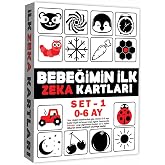 DIYTOY Erken Eğitim Zeka Kartı 0-6 Ay Set 1