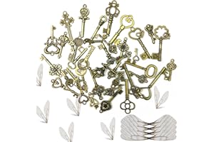 Mr.Twinklelight Vintage Schlüssel Deko Antiken Anhänger Set, 40 Stück Vintage Bronze Skelettschlüsse mit Weiß Libelle Flügel Charm, Retro Anhänger Rustikalen Schlüssel für Halskette zum Herstellen