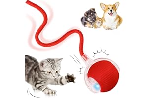 DAMIGHT Interaktives Katzenspielzeug, Katzenball Spielzeug Elektrisch, 360° Rolling Intelligentes Katzenspielzeug Wiederaufladbar über USB, Bewegliches Spielball für Katzen und Hunde Innenbereich