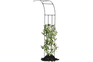 Caroeas Demi Arche de Jardin pour Plantes Grimpantes,60x240x40cm，Arceau Métallique pour Rosiers, Tonnelle Décorative Extérieure, Résistante à la Rouille et à la Décoloration