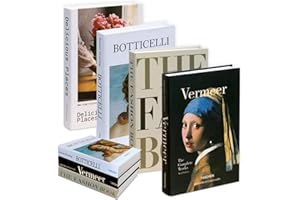 YSOOUA Libros Decorativos Moda Libros de Imitación Plegables para Exhibición 4PCS Libros Decoracion Libros De Exhibición Falsos para Decoración De Estantería De Mesa De Centro del Hogar (B)