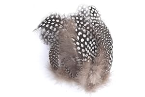 ATST Pack of 10 Quality Dip Dyed Spotty Rooster Feathers – 10 Vivid Colours – 2-5” Long (5-12cm) (Grey)