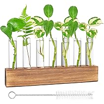 Lot De 3 Vases En Forme D'ampoule En Verre Transparent - Avec Ficelle Pour Suspension, Déco Intérieure Plantes