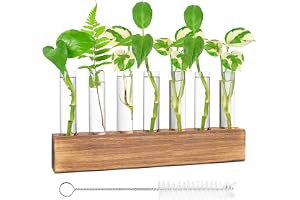 Nizirioo Hydroponics förökningsstation - glasvas med trästativ, borste och 8 växtrör - dekoration