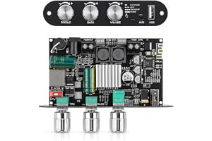 diymore ZK-1001U DC 9–24 V Mono 100 W Bluetooth-effektförstärkare-modul stöder APP-effektförstärkare-chip TPA3116D2 kvinnlig
