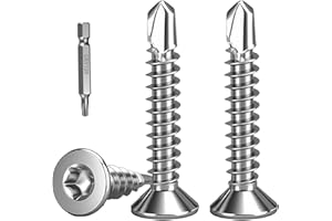 FandWay 100 Pièces Torx Vis Autoforeuse Metal,M4.2x38mm Vis à Tôle Autotaraudeses et Autoperceuse Autoperforante Inox 410 Torx Tête Fraisée Plate pour Aluminium Bois Tôle Plastique.Avec 1 TX20.