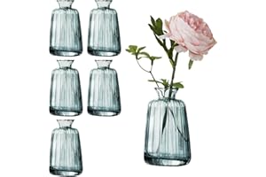 NWVUOP 6 Stück Kleine Glasvasen für Tischdeko, Mini Vasen Blumenvase Set für Hochzeit Tischdeko(11× 6,5cm, Grün)