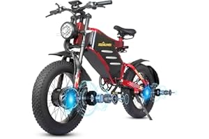 RZOGUWEX Electric Bicycle，20 Inch 160NM Dual Motor Off-Road EBIKE for Adults with 48V 30AH Detachable Lithium Ion Battery, Dual Hydraulic Disc Brake