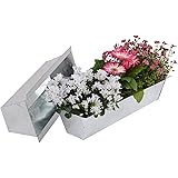 Nature by Kolibri Blumenkasten Set Balkonkasten Einsatz passend für Europaletten für Blumen, Kräuter und Früchte 2 Stück 38cm