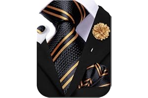 Hi-Tie Silk Men's Tie and Pocket Square Cufflinks Lapel Pin Set Jacquard Wedding Business Necktie for Formal