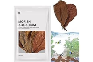 Gomice Catappa Hoja Almendro Indio - 20 Piezas Almendra Indias seguras Naturales como escondite - Almendra Indias Catappa para peceras, estanques y acuarios