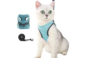 oUUoNNo Cat Harness and Leash Set for Walking Escape Proof, Adjustable Soft Padded Vest with Running Cushioning, Comfortable Outdoor Jacket for Pet Kitten (S, Ai Green)