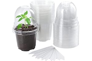 LATERN 30 Pièces Pots de Pépinière Transparents avec Dôme D'Humidité, 10CM Pot de Fleurs en Plastique Pots de Démarrage de Semis avec Trous de Drainage pour Transplantation Semis Plantes Fleurs