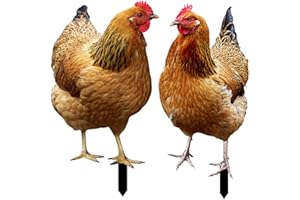 Xiixuuj Décor De Cour De Poulet, Jardin Poulet, Décor Acrylique 2D Statue Poule, Sculptures Réalistes De Poulet, Décorations Décoratives Poulet pour Jardin, Cour, Cadeau pour Les Amoureux du Jardin