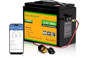 Eco-Worthy LiFePO4 12 V-batteri på 50 Ah med XT60 Bluetooth BMS, skydd mot låga temperaturer och 4 000–15 000 laddningscykler, 640 Wh litiumbatteri för Trolling-Motor, båtar